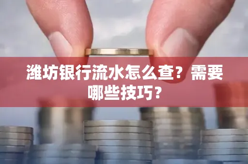 潍坊银行流水怎么查?需要哪些技巧?