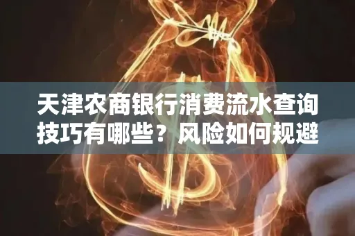 天津农商银行消费流水查询技巧有哪些？风险如何规避？