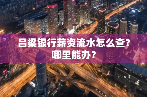 吕梁银行薪资流水怎么查？哪里能办？