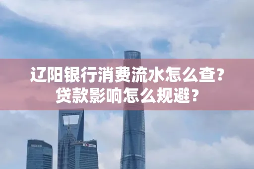 辽阳银行消费流水怎么查？贷款影响怎么规避？