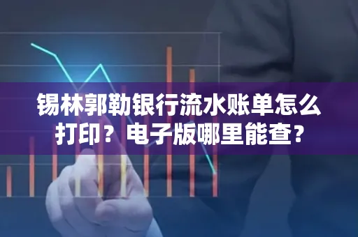 锡林郭勒银行流水账单怎么打印?电子版哪里能查?