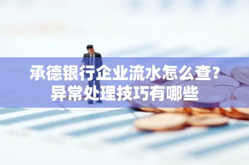 承德银行企业流水怎么查?异常处理技巧有哪些