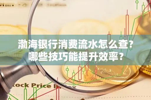 渤海银行消费流水怎么查?哪些技巧能提升效率?