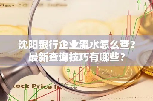 沈阳银行企业流水怎么查?最新查询技巧有哪些?