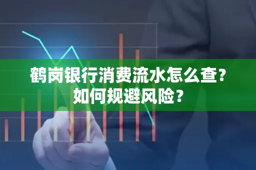 鹤岗银行消费流水怎么查?如何规避风险?