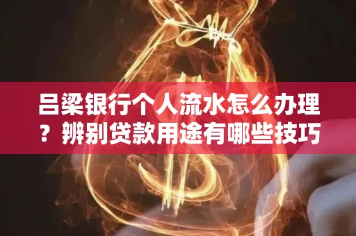 吕梁银行个人流水怎么办理?辨别贷款用途有哪些技巧?