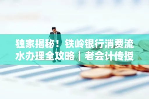 独家揭秘!铁岭银行消费流水办理全攻略|老会计传授防诈技巧