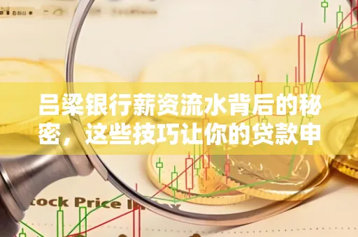 吕梁银行薪资流水背后的秘密,这些技巧让你的贷款申请快人一步