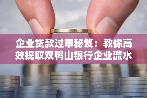 企业贷款过审秘笈:教你高效提取双鸭山银行企业流水