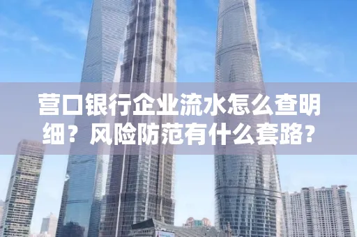 营口银行企业流水怎么查明细?风险防范有什么套路?