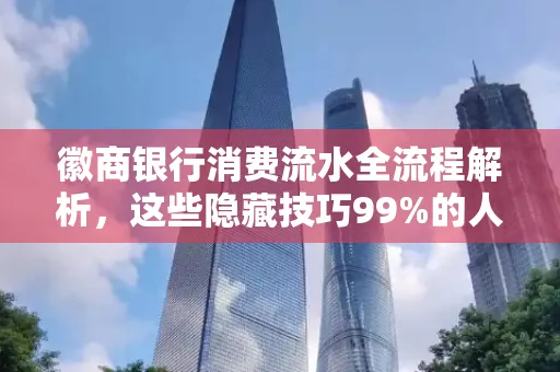 徽商银行消费流水全流程解析,这些隐藏技巧99%的人不知道