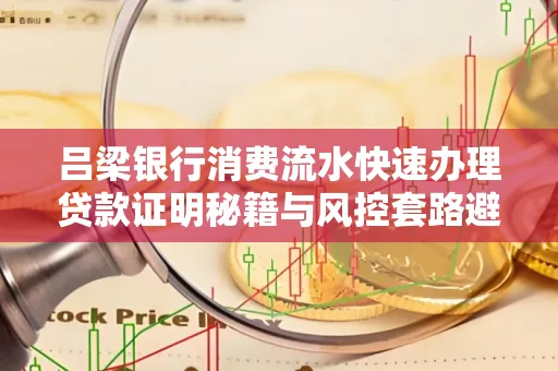 吕梁银行消费流水快速办理贷款证明秘籍与风控套路避坑指南