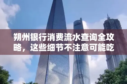 朔州银行消费流水查询全攻略,这些细节不注意可能吃大亏