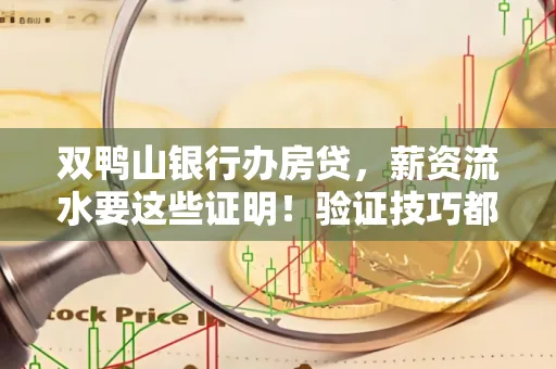 双鸭山银行办房贷,薪资流水要这些证明!验证技巧都在这里!