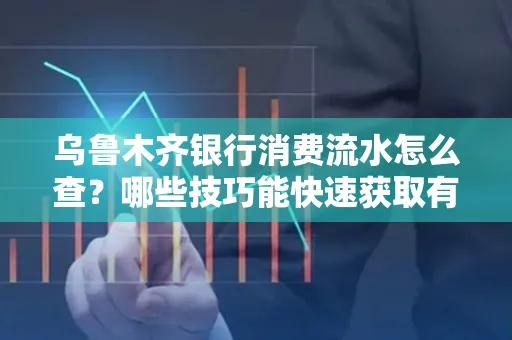 乌鲁木齐银行消费流水怎么查?哪些技巧能快速获取有效信息?