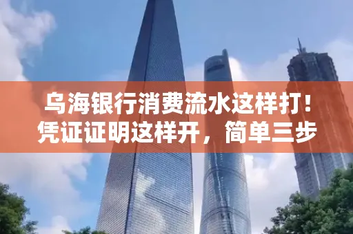 乌海银行消费流水这样打!凭证证明这样开,简单三步轻松搞定
